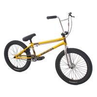 Forgotten Damned Complete Bike, Gloss Metallic Gold - Aftermath